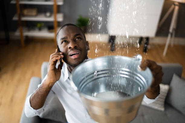 Best Water damage cleanup near me  in Crooks, SD