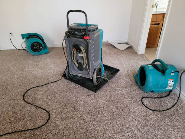 Best Mold removal after water damage  in Crooks, SD