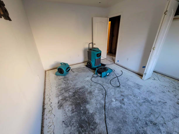 Best Flood restoration services  in Crooks, SD