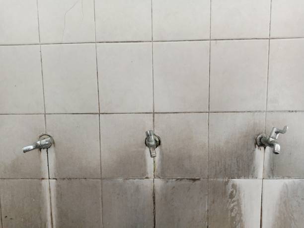 Best Residential water damage restoration  in Crooks, SD