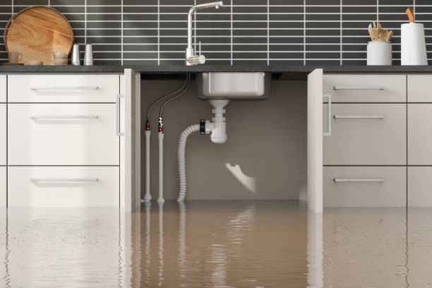 Best Fire Damage Restoration  in Crooks, SD