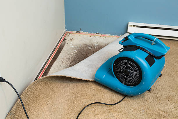 Best Water damage restoration near me  in Crooks, SD